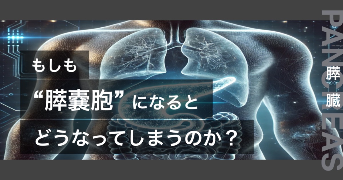 もしも膵嚢胞になるとどうなってしまうのか？というテキストが書かれており人間の心臓が描かれている
