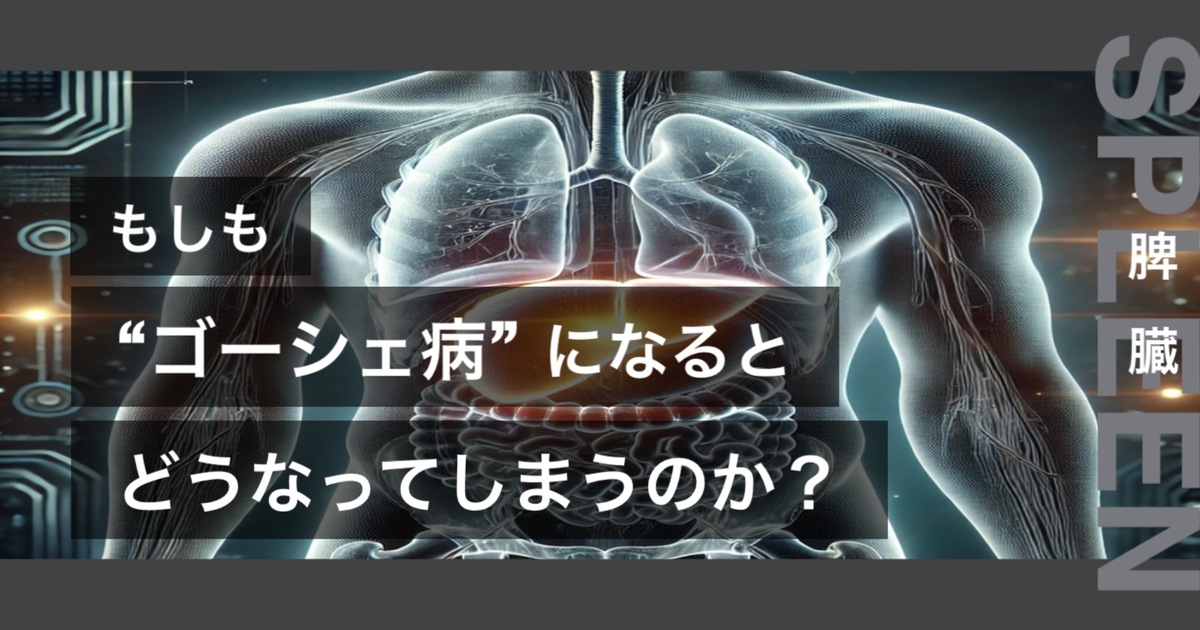 もしもゴーシェ病になるとどうなってしまうのか?というテキストが書かれており人間の脾臓が描かれている